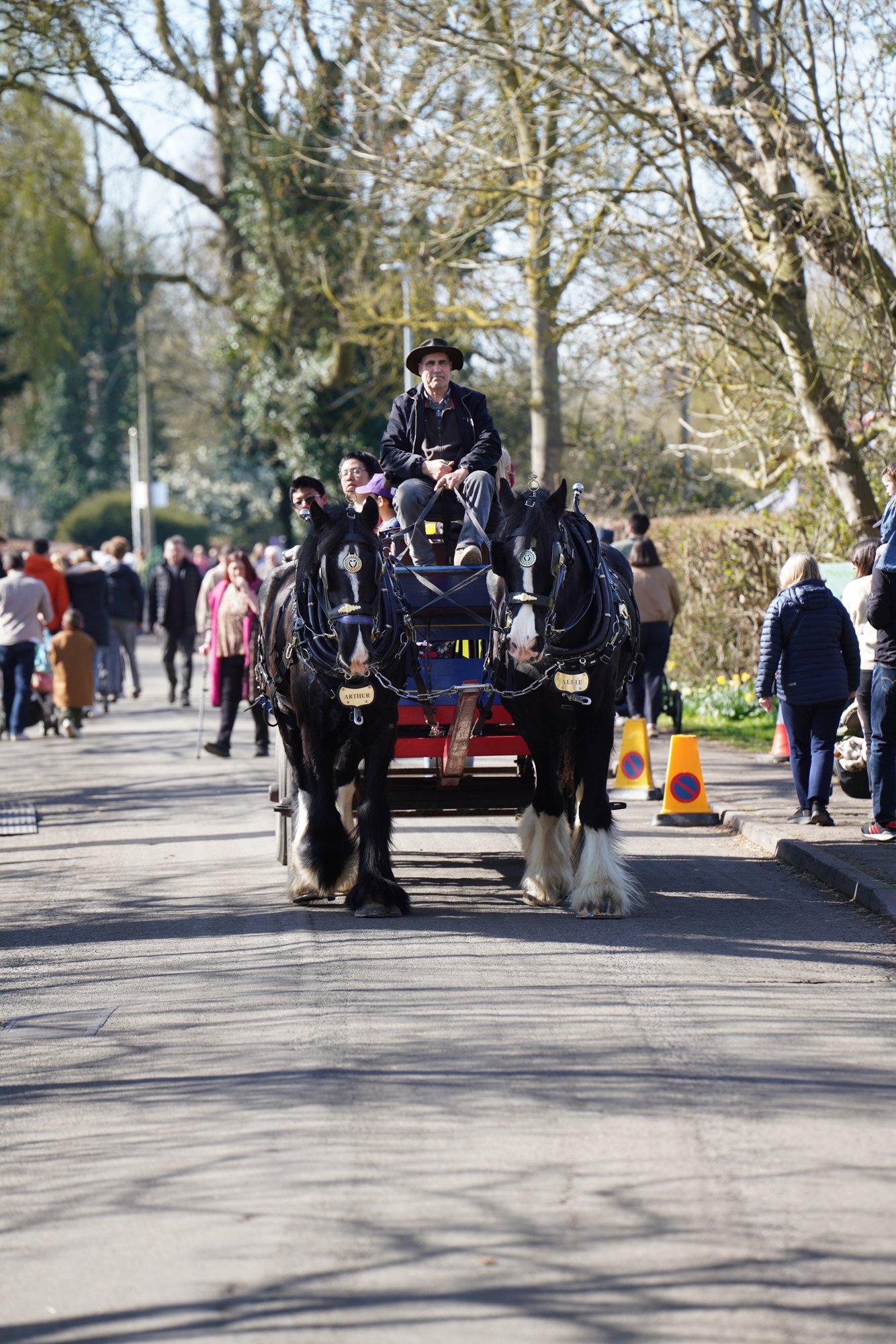 2 lo res RED03342_.jpg