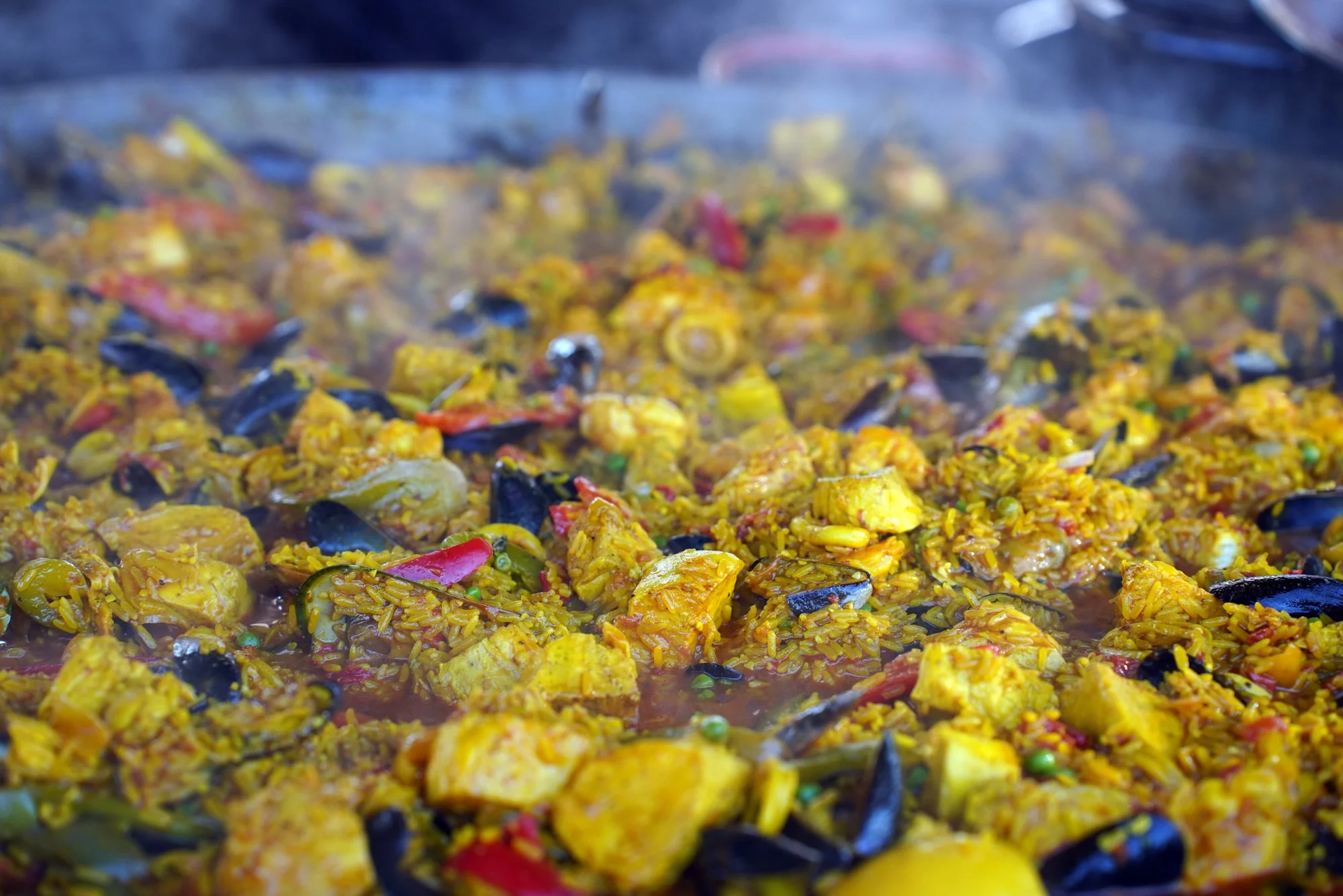 4 lo res DSC01926_.jpg