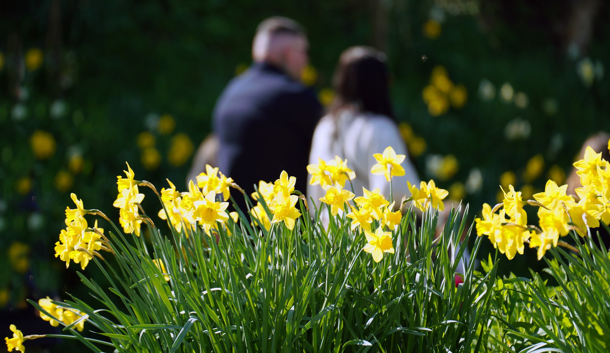 53 lo res RED03642_.jpg