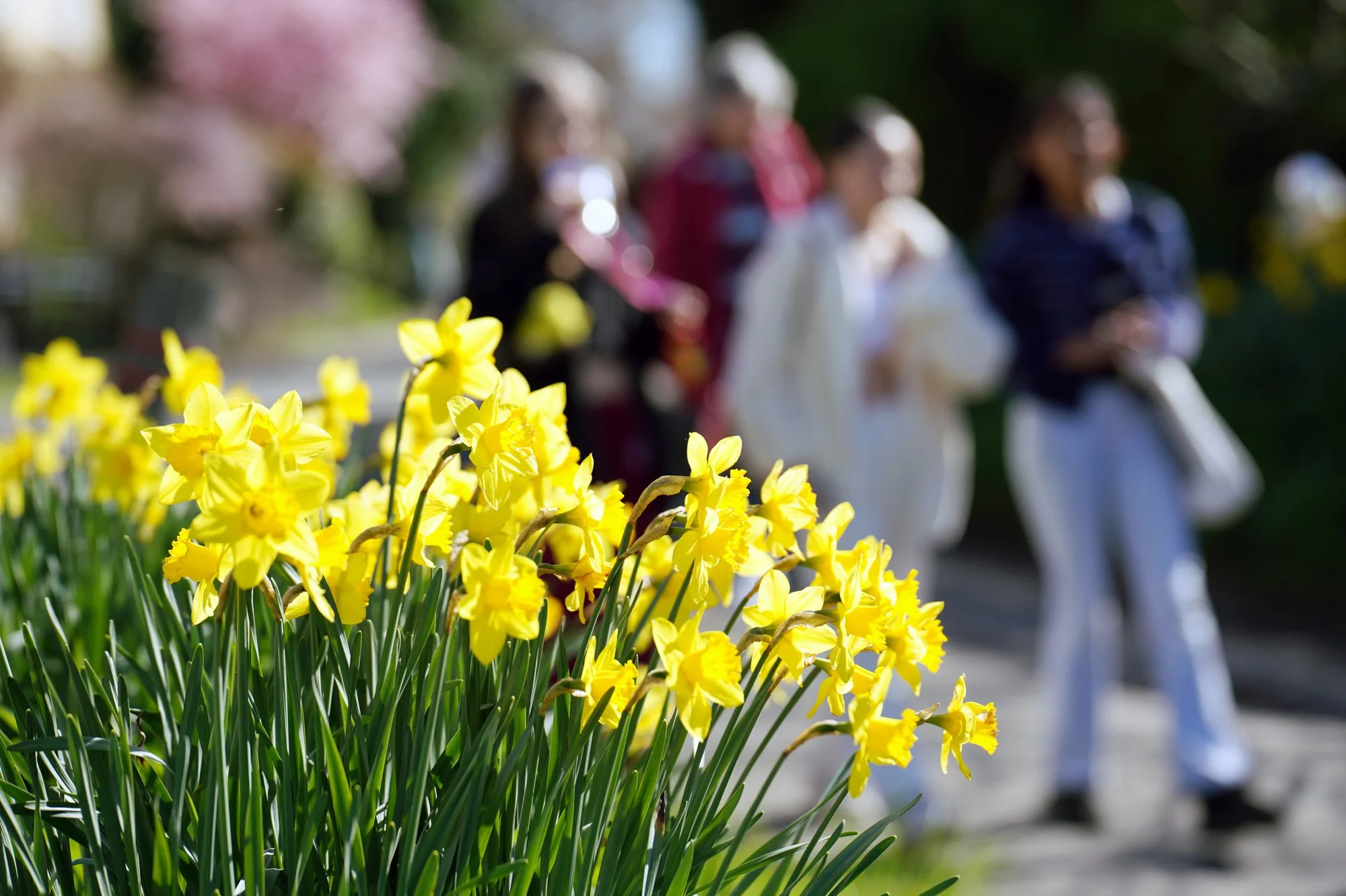 55 lo res RED03659_.jpg