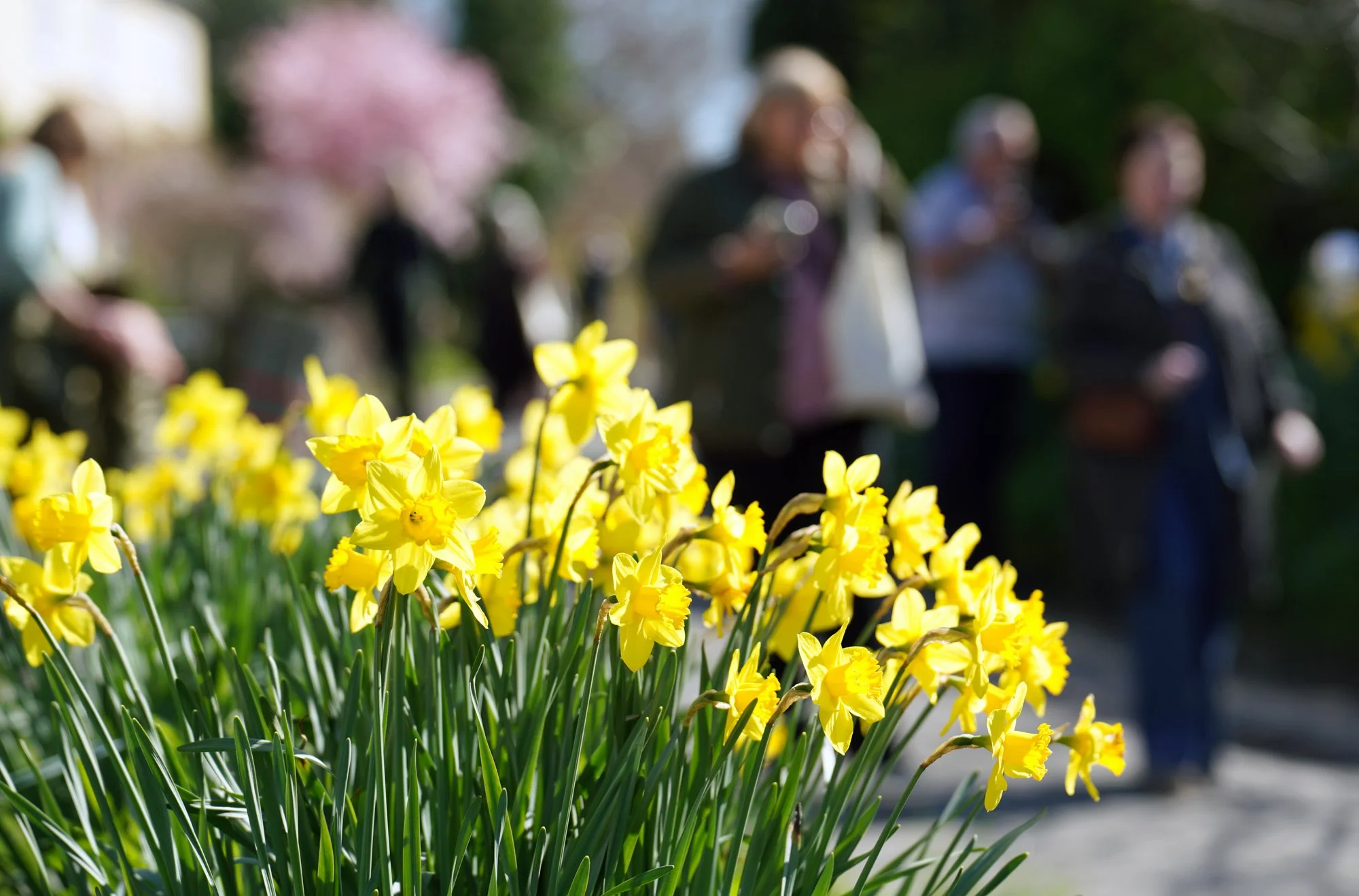 56 lo res RED03664_.jpg