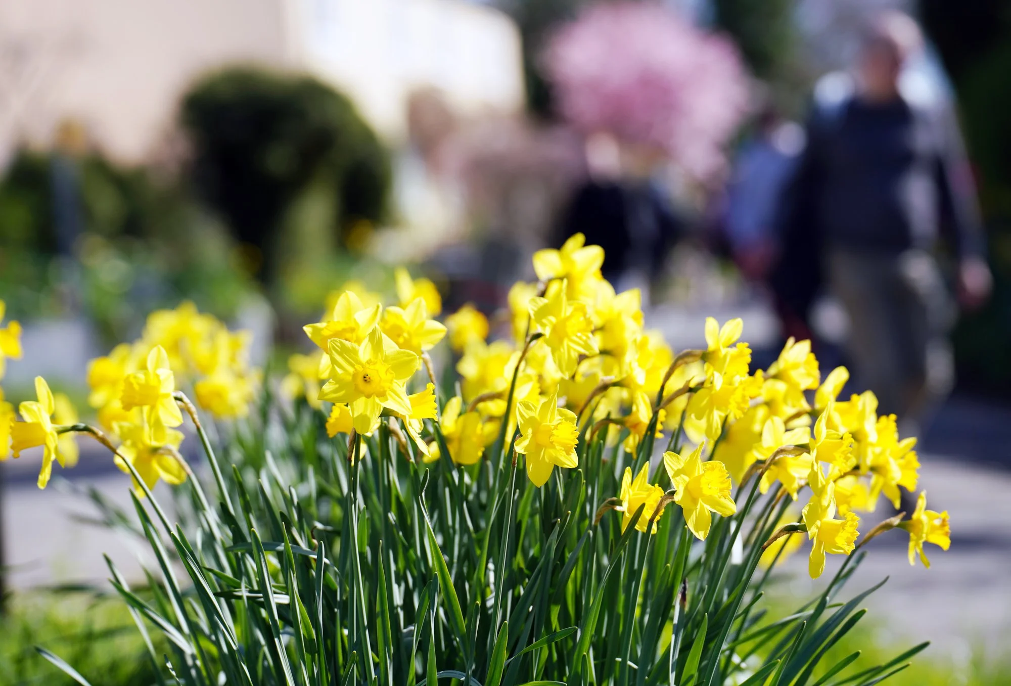 57 lo res RED03668_.jpg