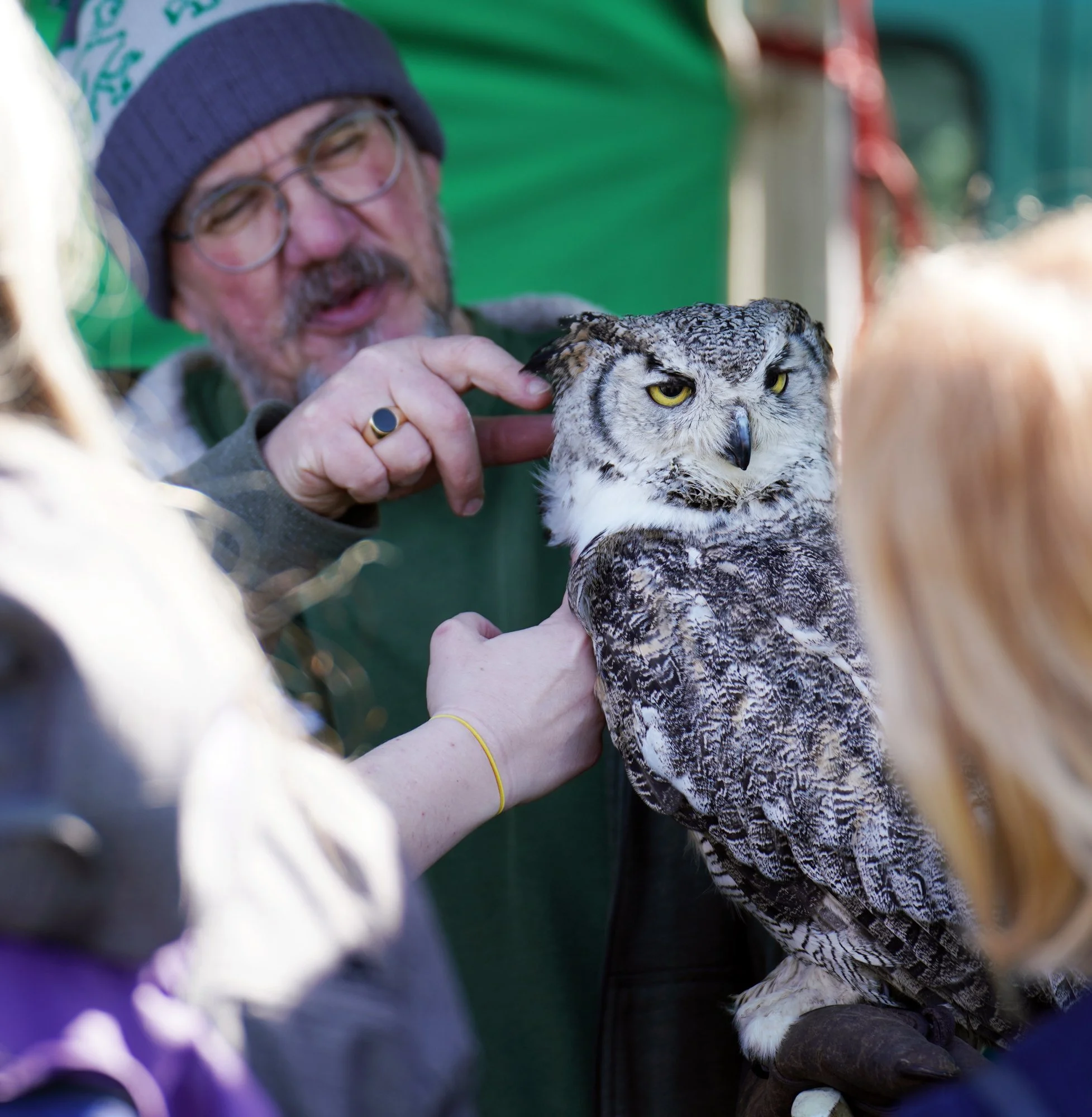 65 lo res RED03708_.jpg