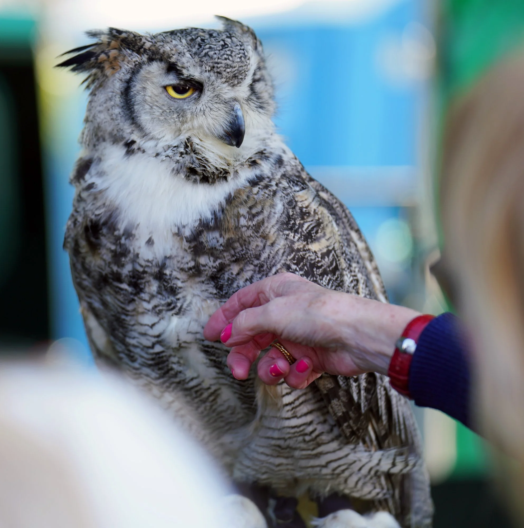 66 lo res RED03720_.jpg