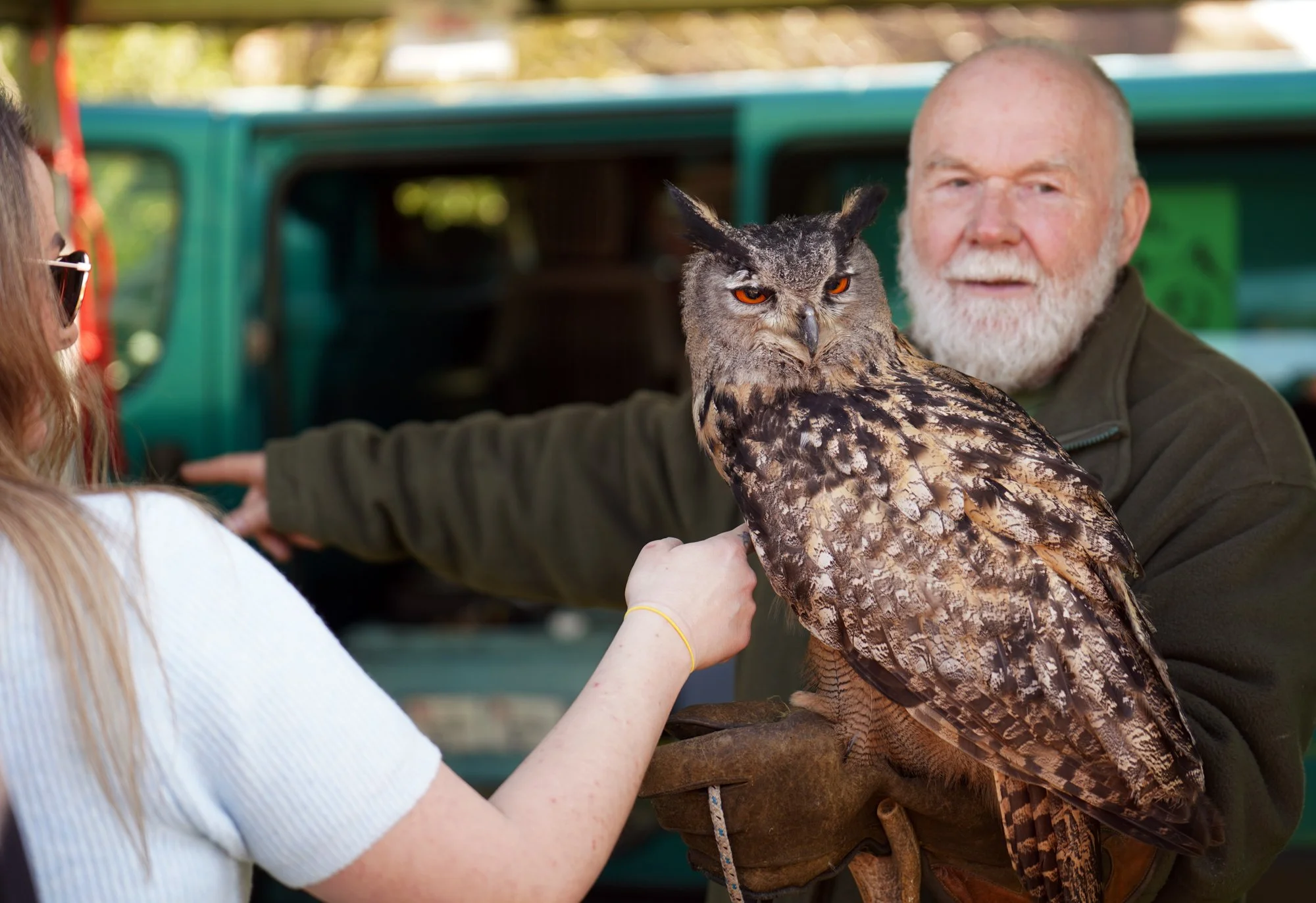 67 lo res RED03726_.jpg