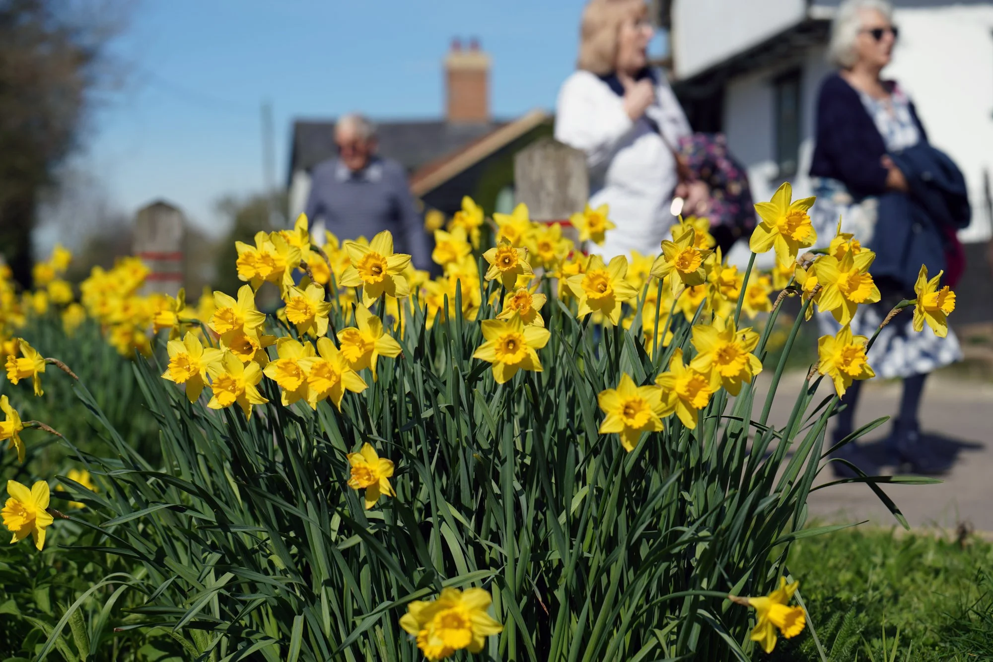 68 lo res RED03741_.jpg