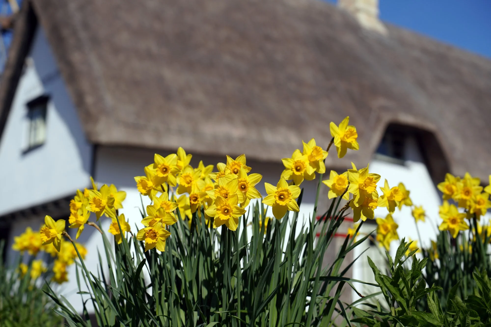 69 lo res RED03749_.jpg