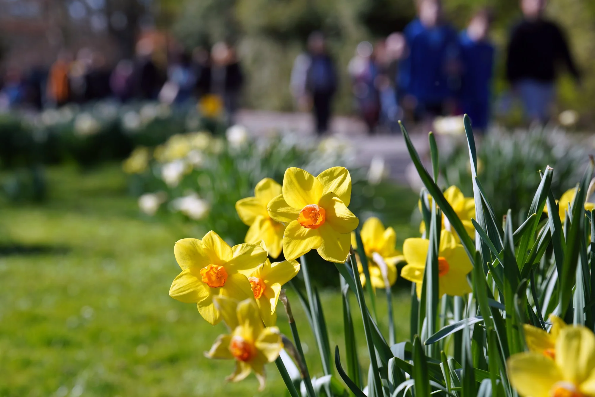 70 lo res RED03763_.jpg