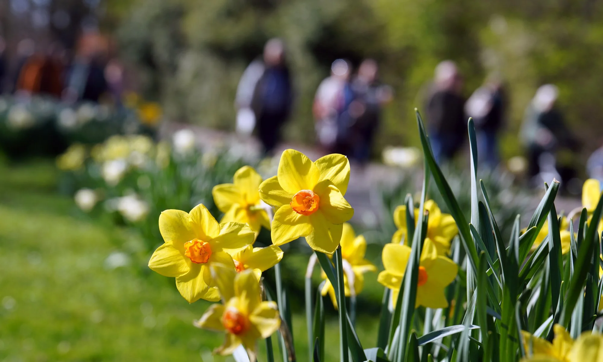 71 lo res RED03767_.jpg