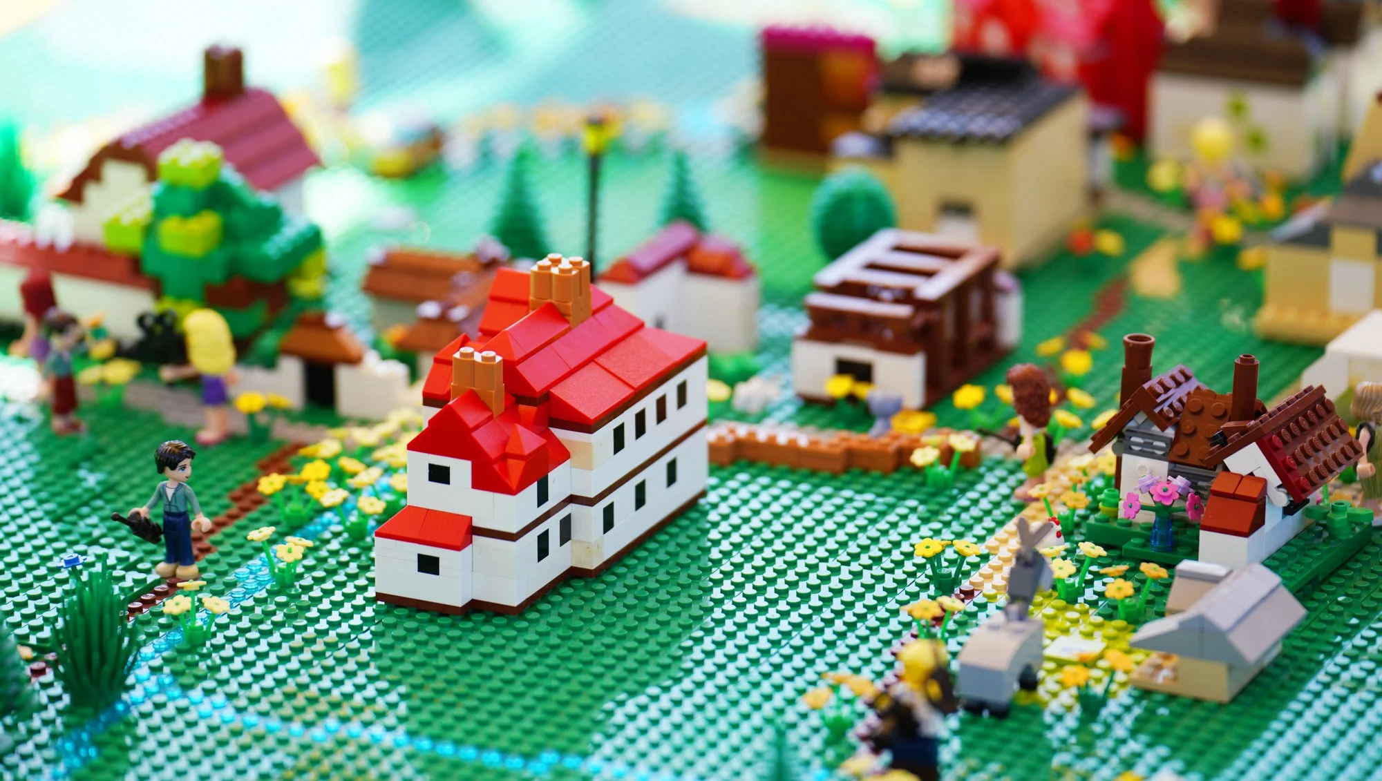 86 lo res RED03845_.jpg