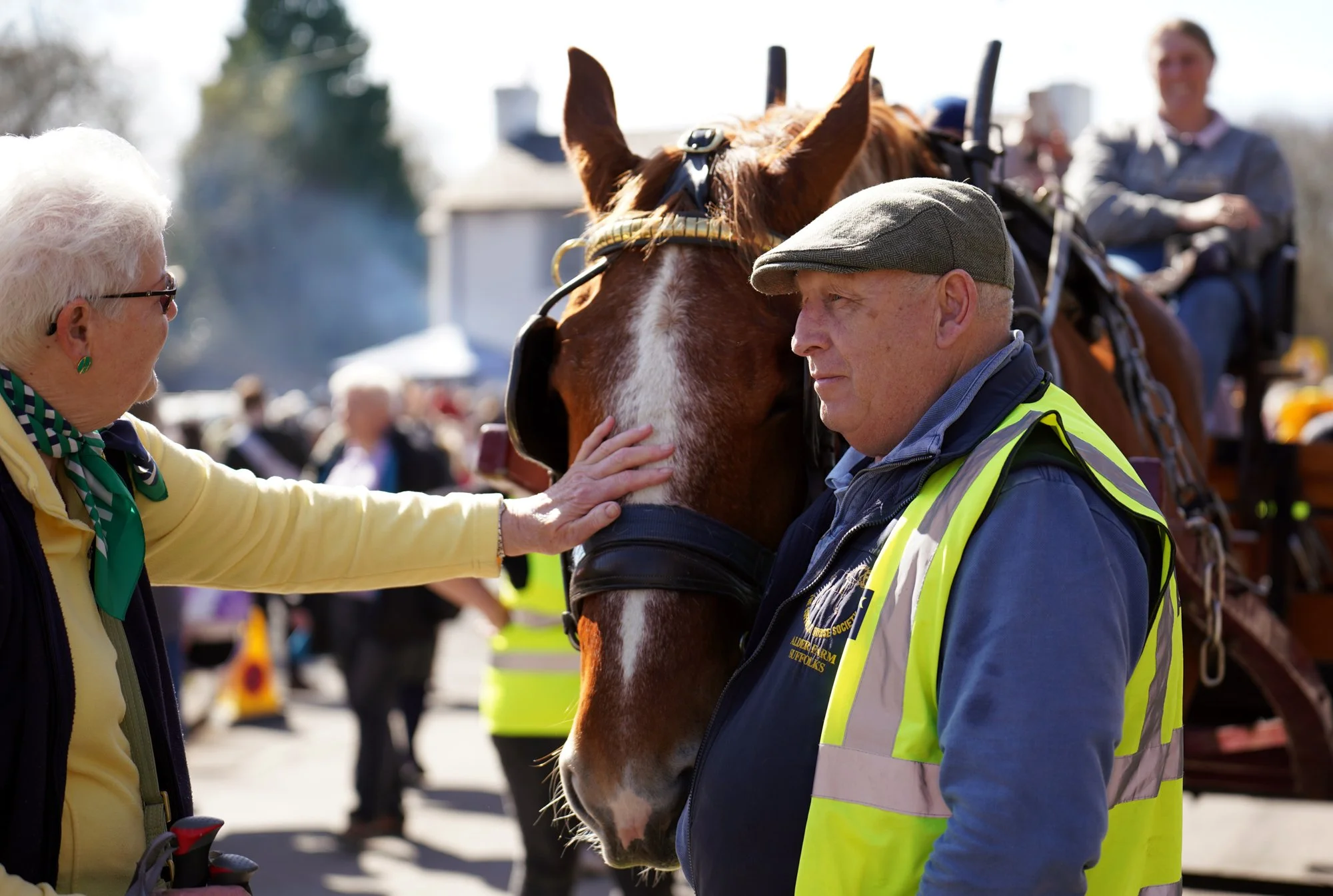 111 lo res RED03975_.jpg