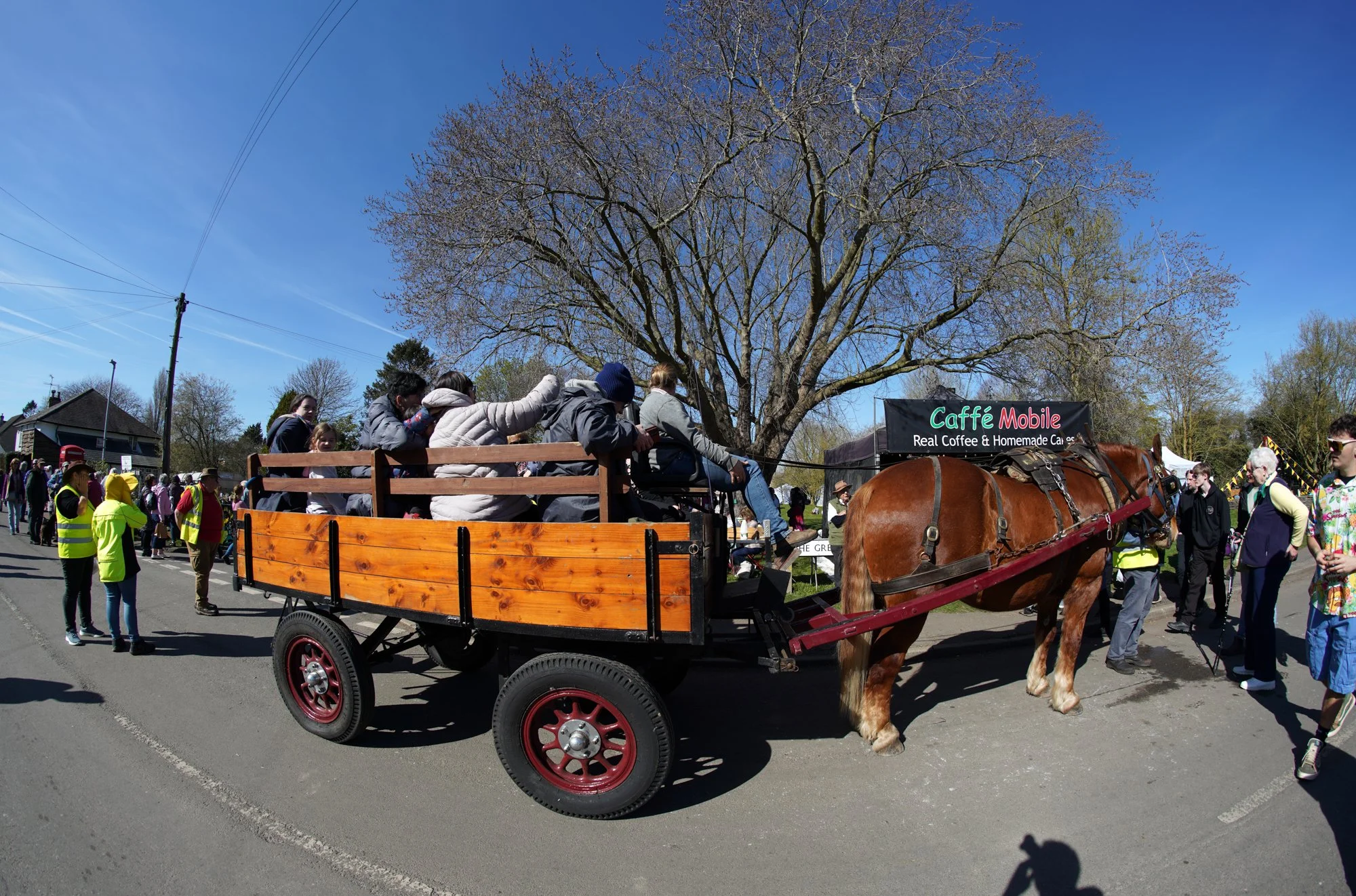 110 lo res DSC02041_.jpg