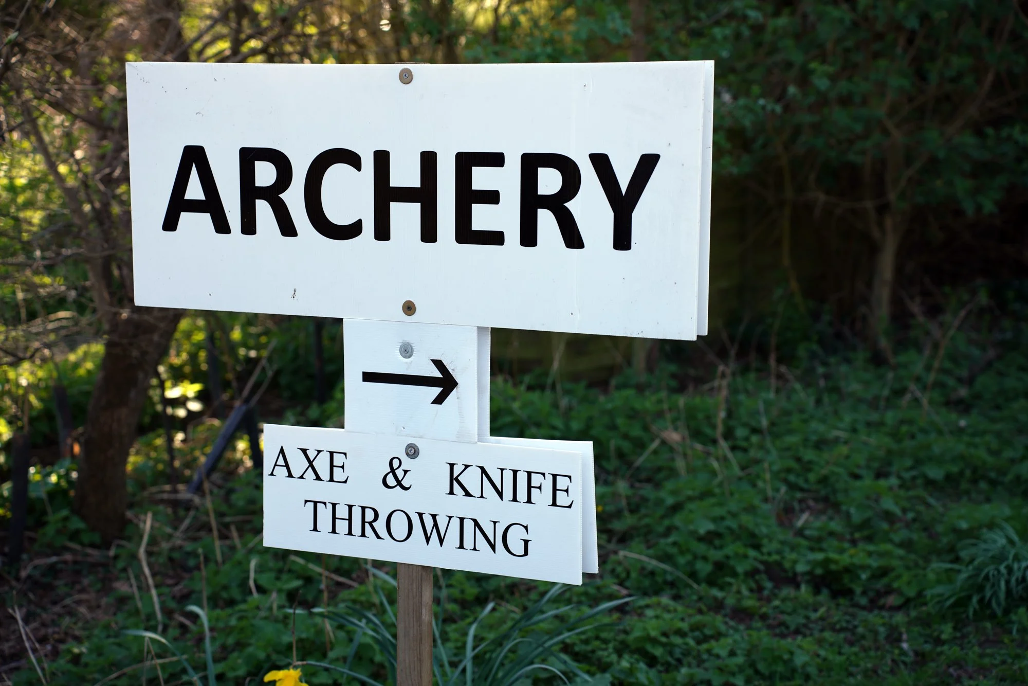 116 lo res DSC02043_.jpg