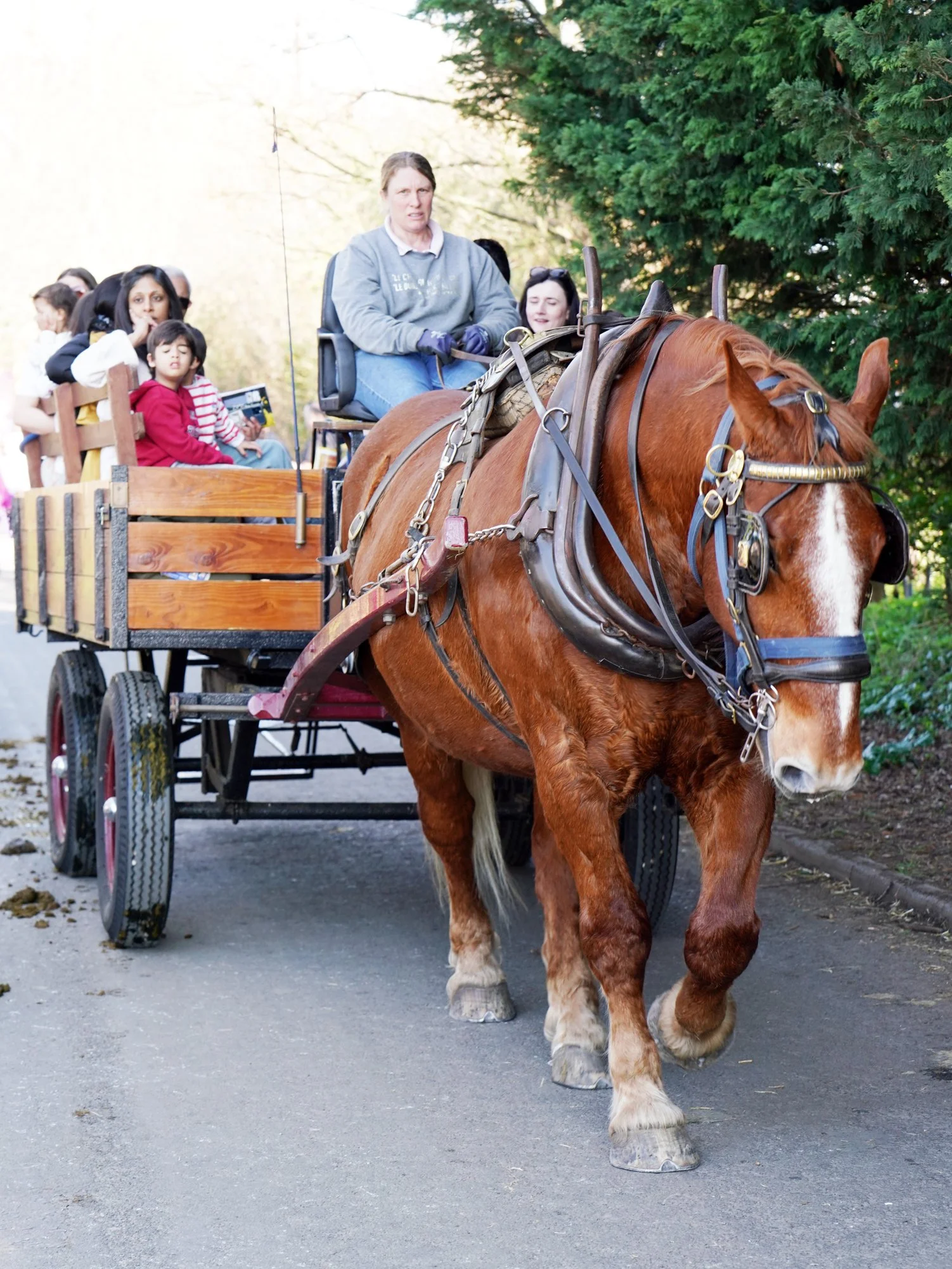 118 lo res RED04009_.jpg