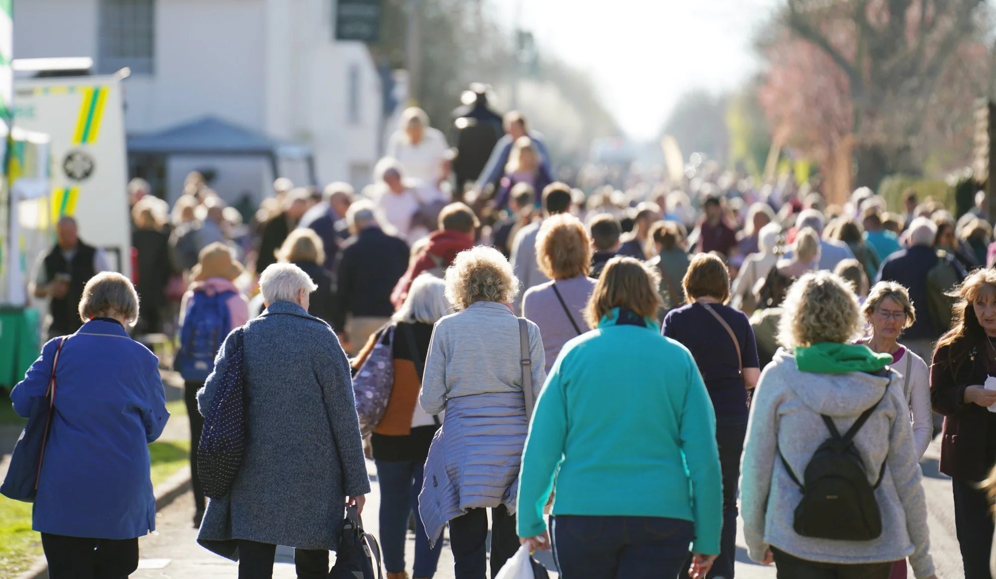 203 lo res RED04453_.jpg