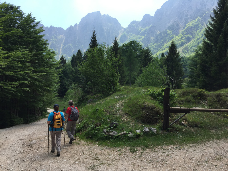Escursionisti sul Sentiero dei Grandi Alberi.jpg