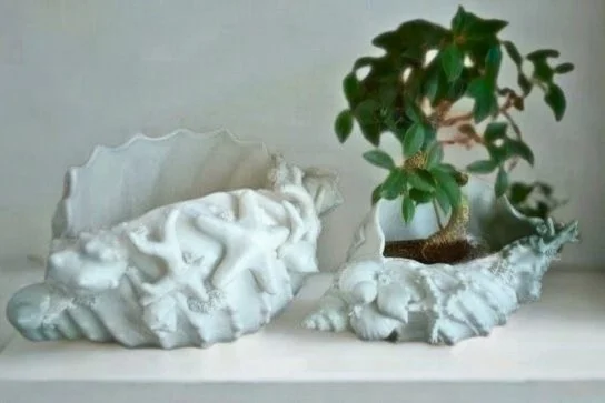 home decor with shells