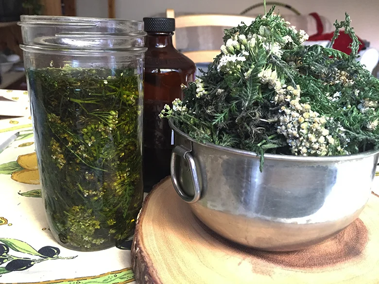 North Fork Foraging + Picnic with Chef Tom Coughlan and Cook Space