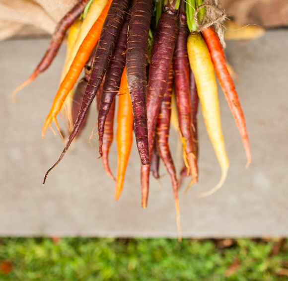 Farm to Table Cooking Class with Cook Space