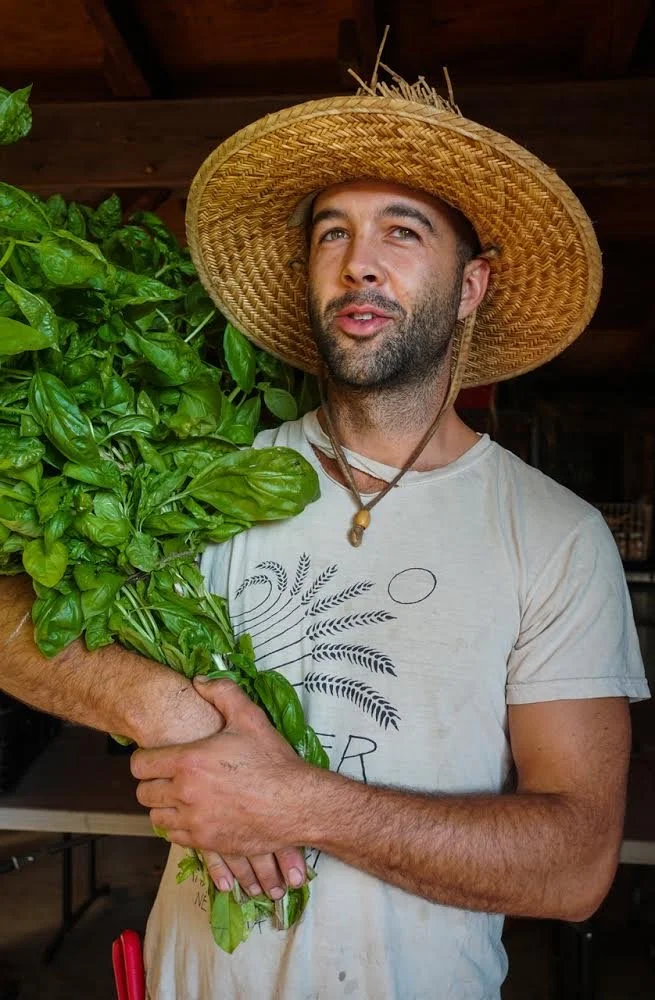 2nd Annual Art Basil