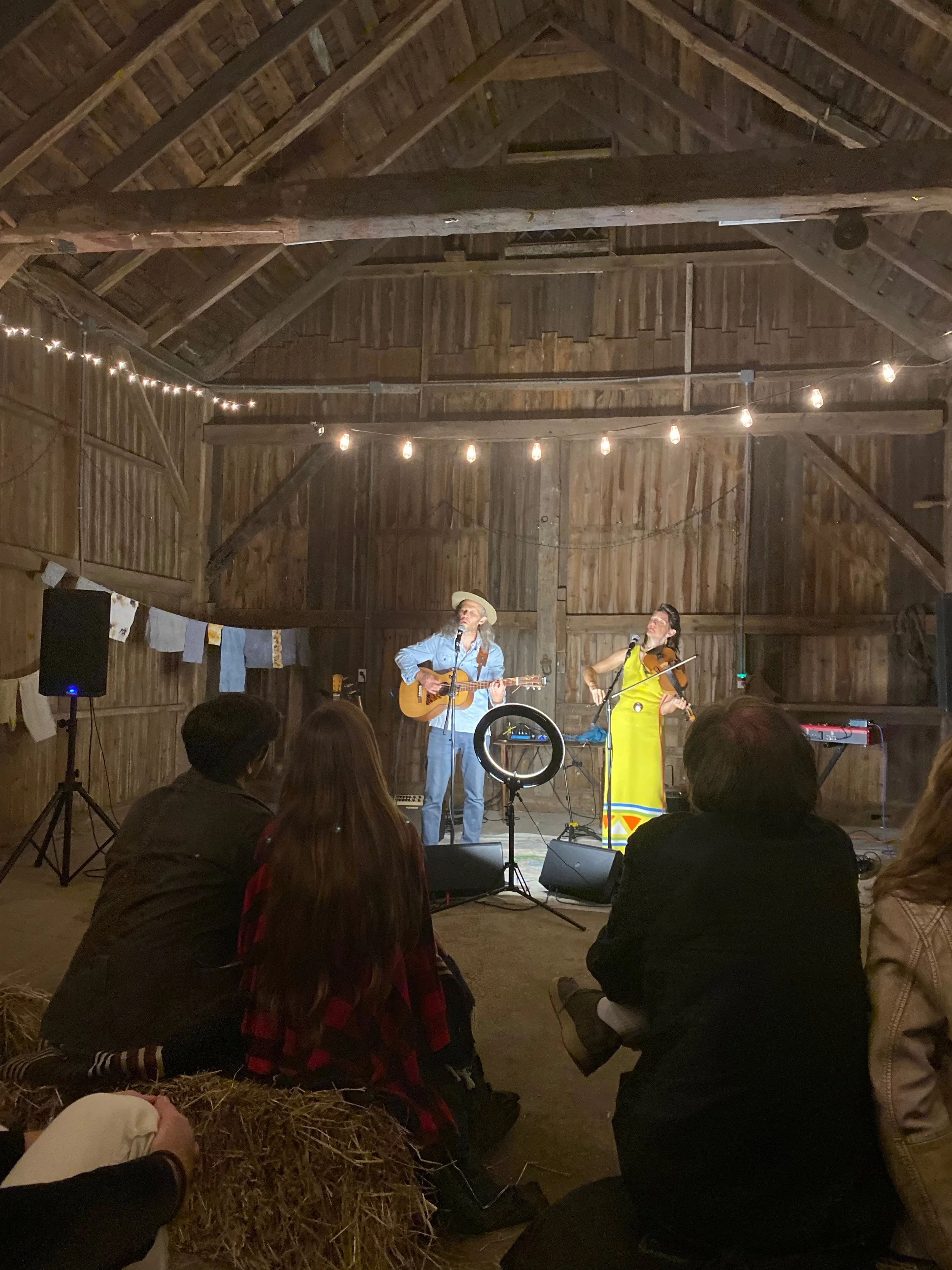 Concert: David Wax Museum 