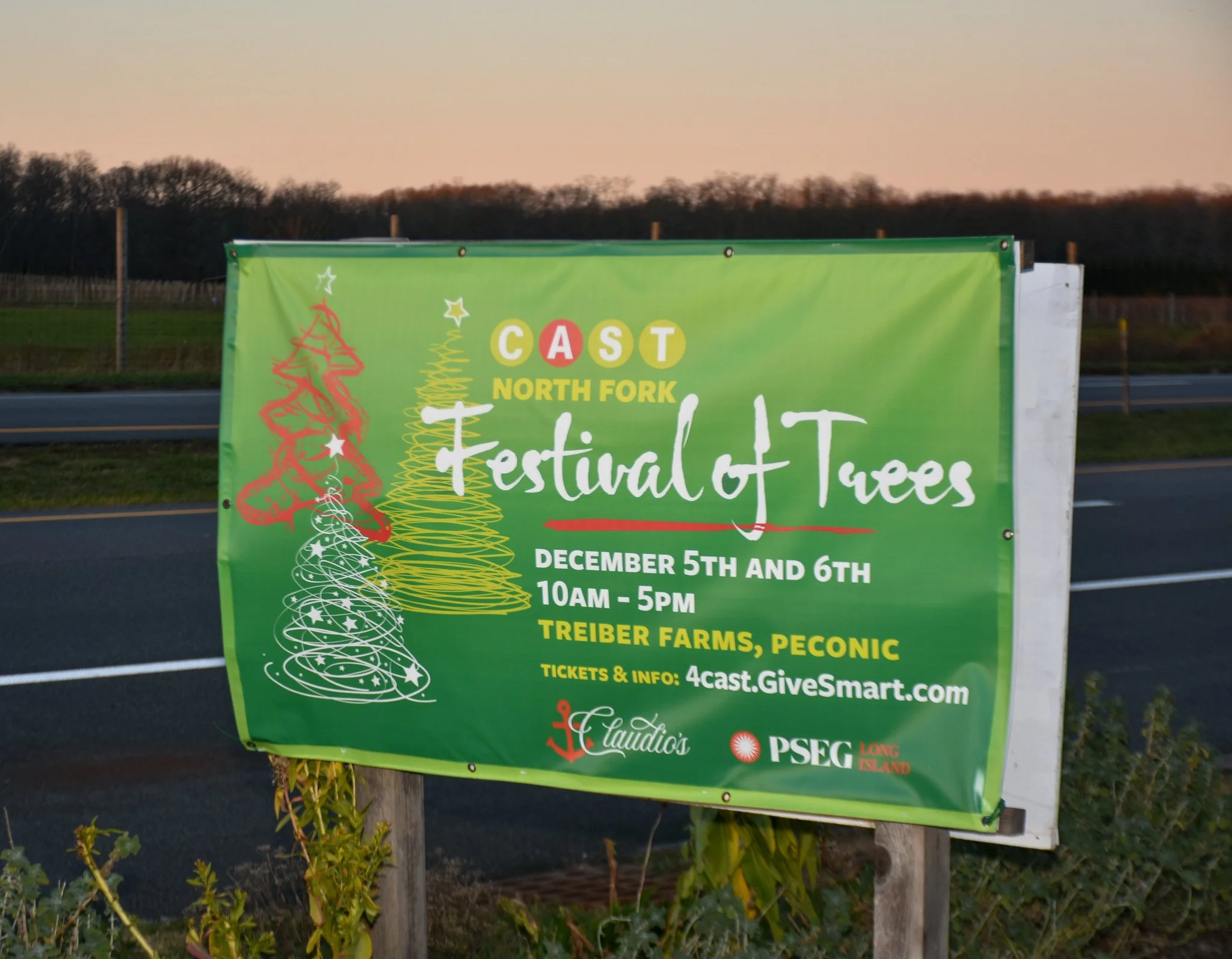 1st Annual North Fork Festival of Trees