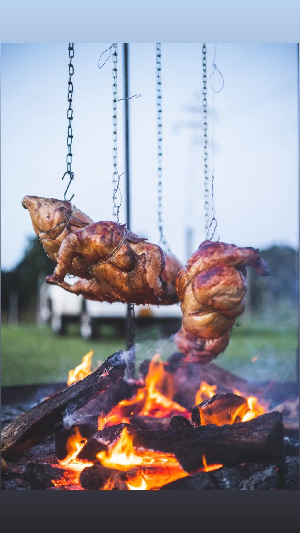 Gauchonfire X Treiber Farms