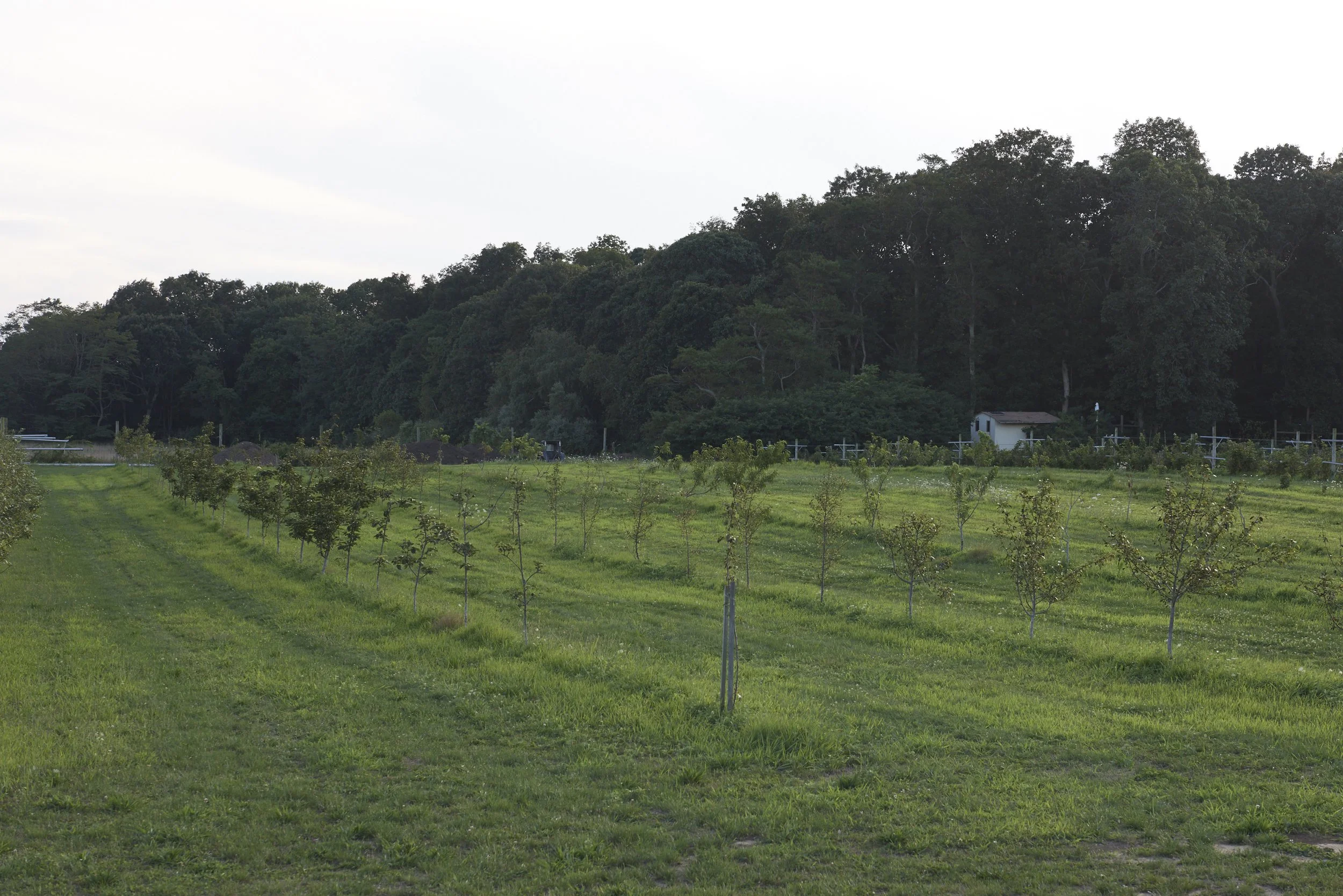 Treiber_Farm_27.jpg
