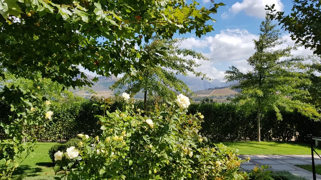 20180413_134056 (Personalizado).jpg