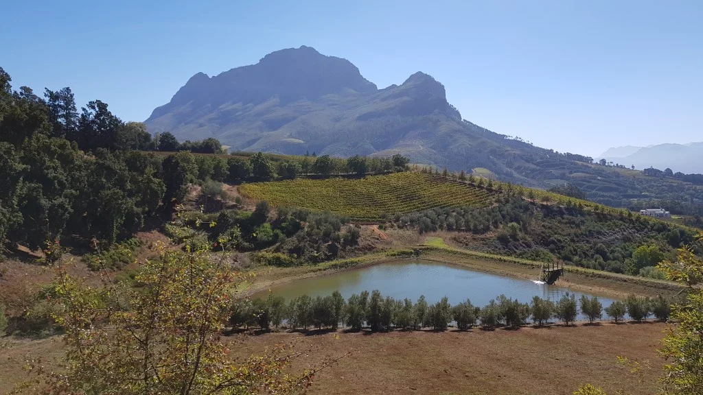 20180421_114711 (Personalizado).jpg