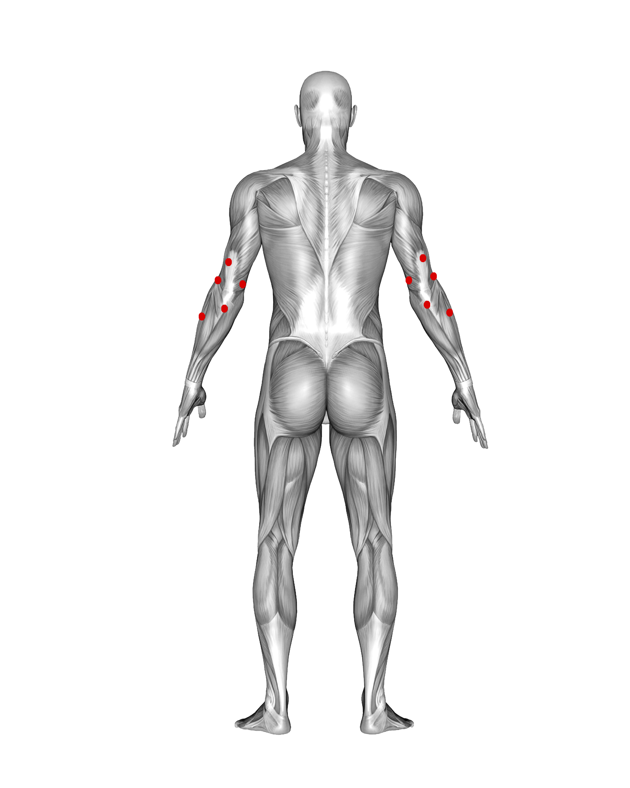 ELBOWS
