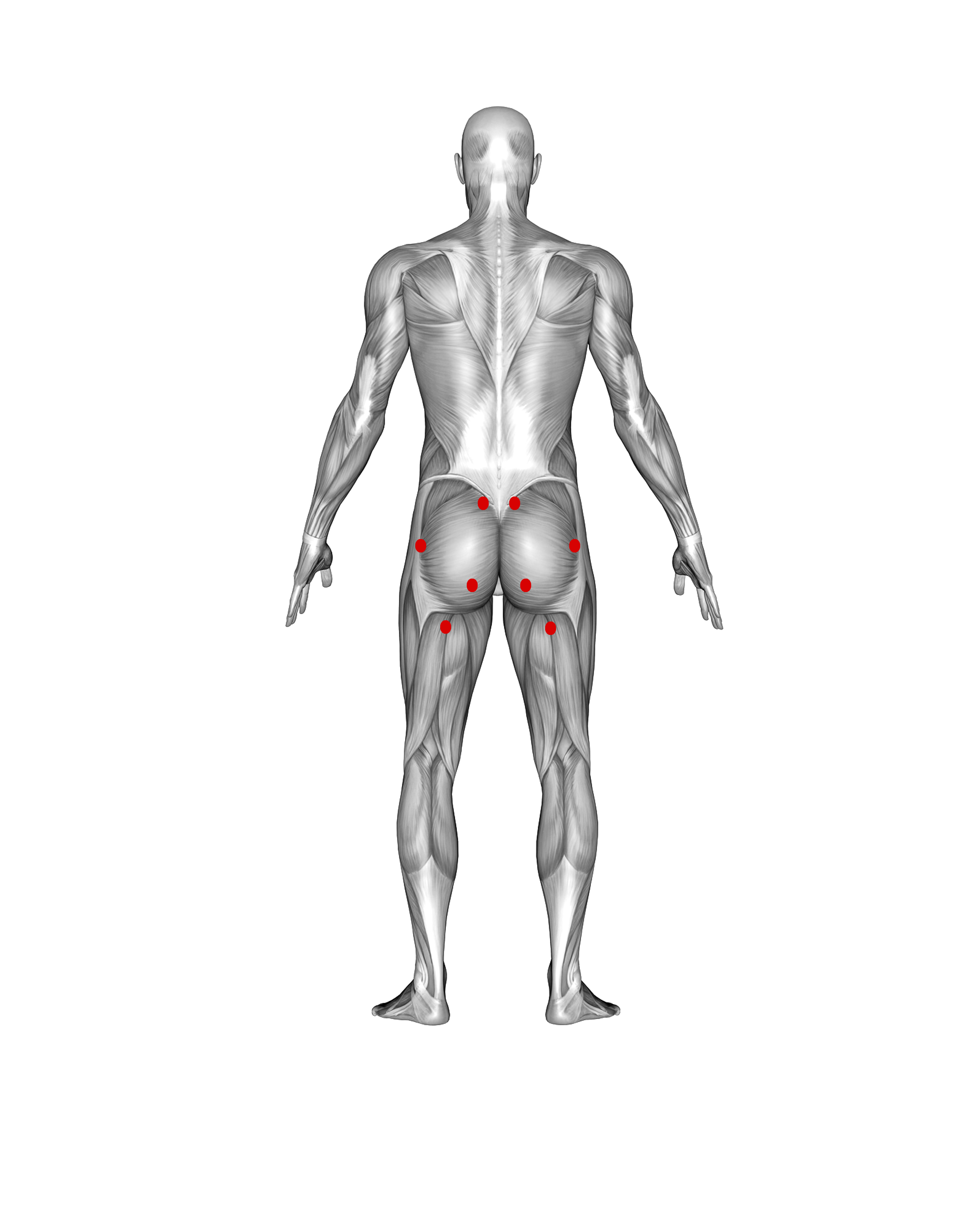 GLUTES