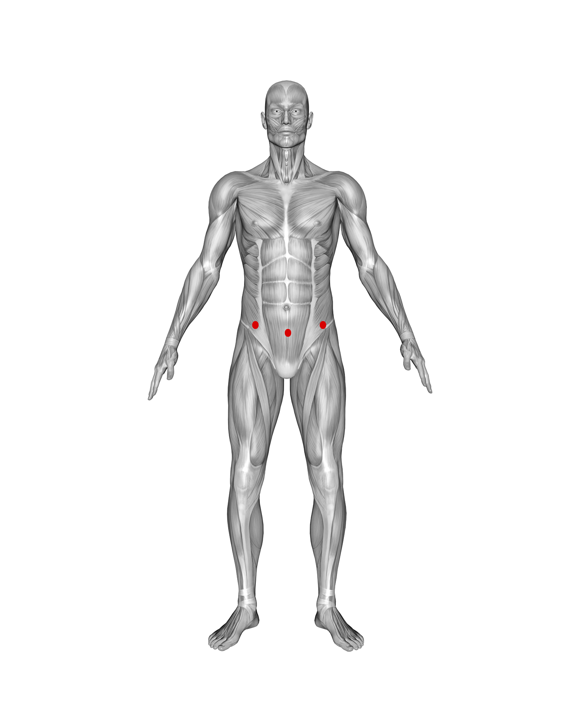 ABDOMINALS
