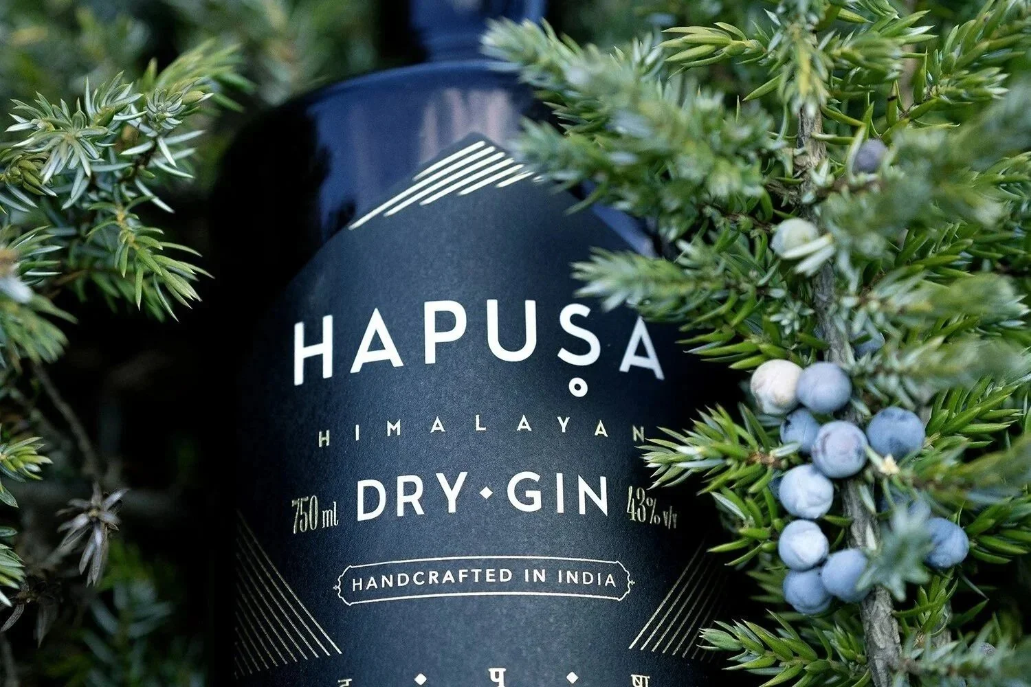 Hapusa Gin