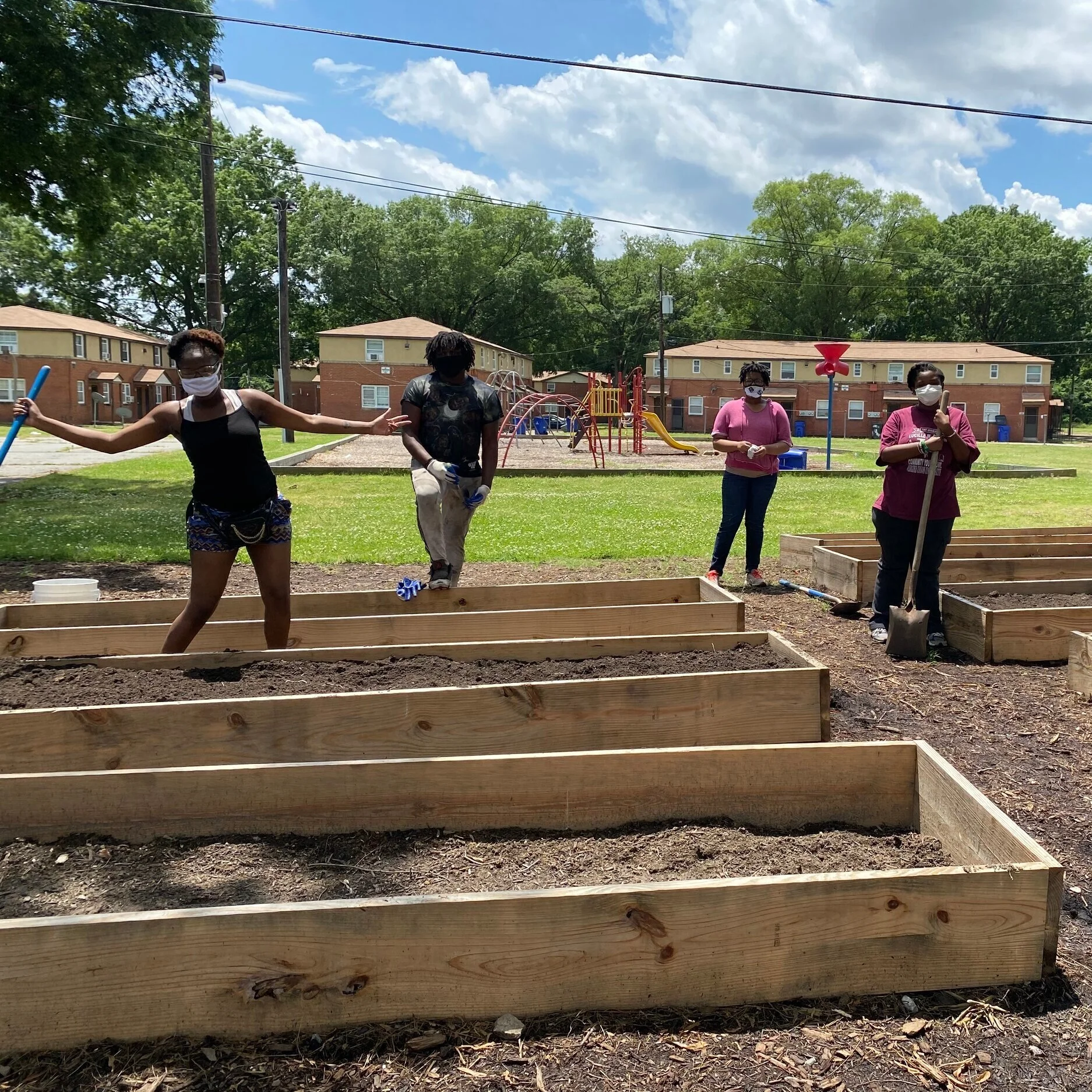 Green Team started growing food before the shut-down! Those seeds and plants are growing and going out to young gardeners across the City.