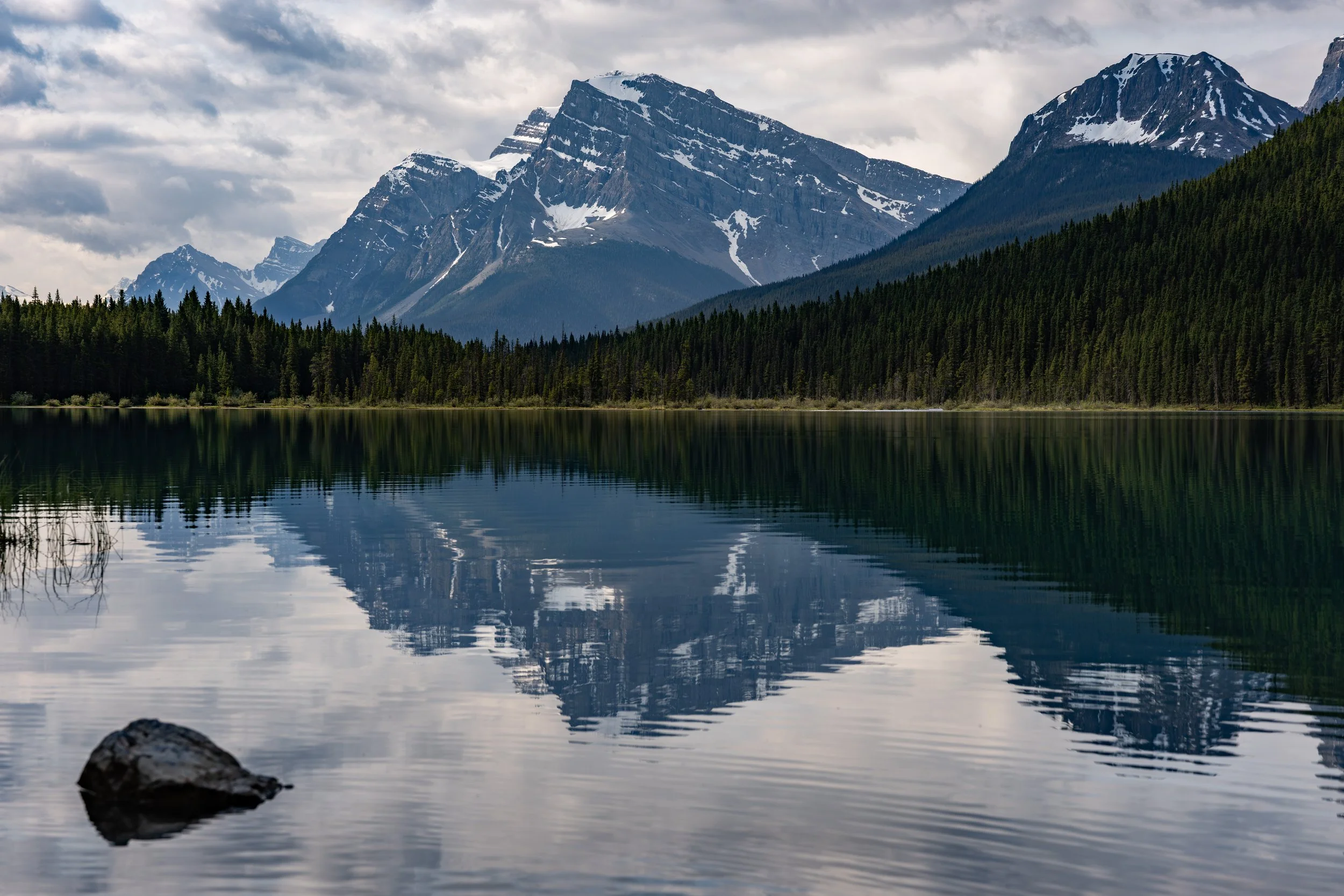Waterfowl Lake