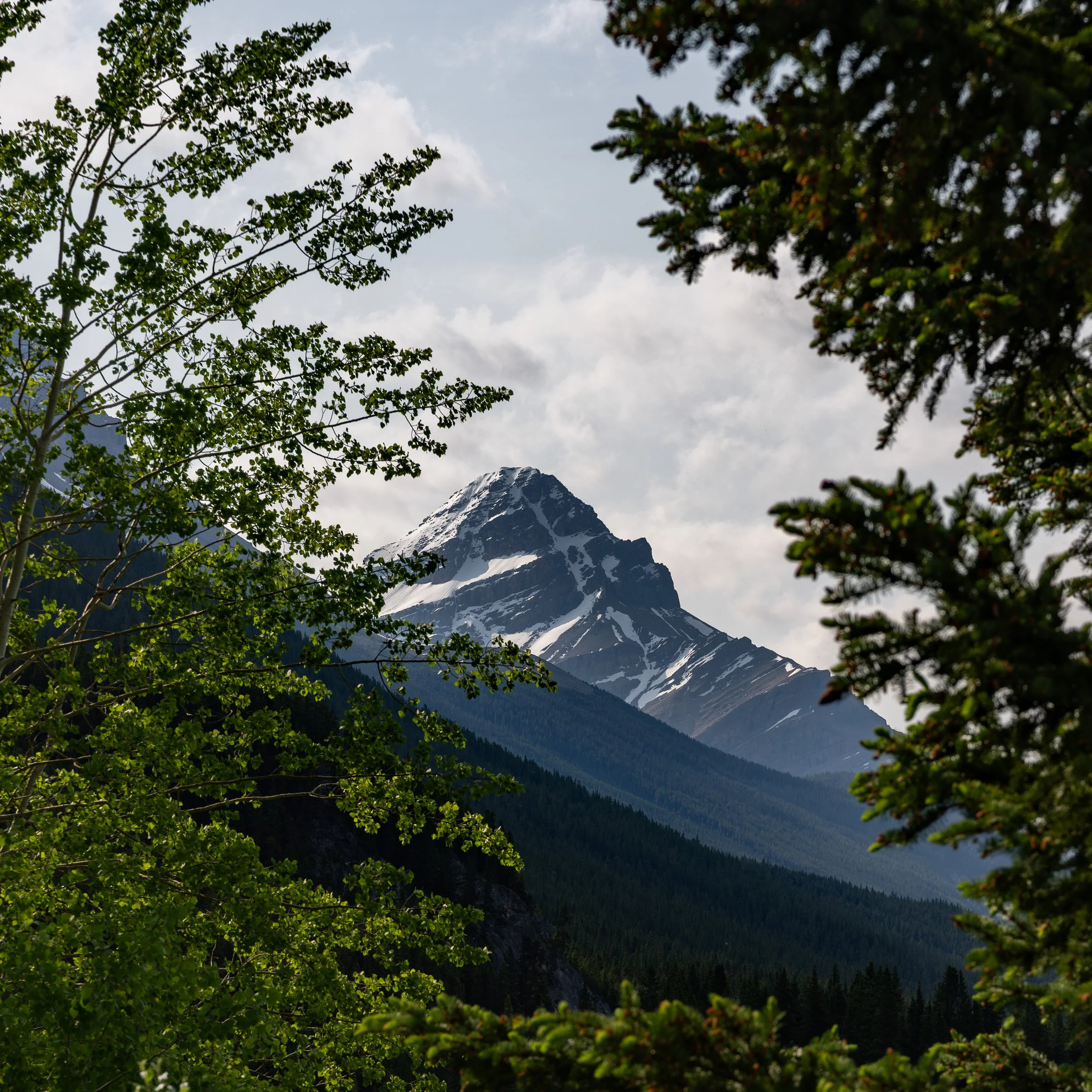 Mount Noyes