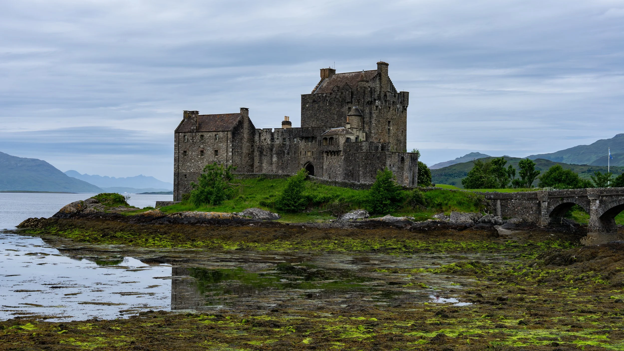 Eileen Donan
