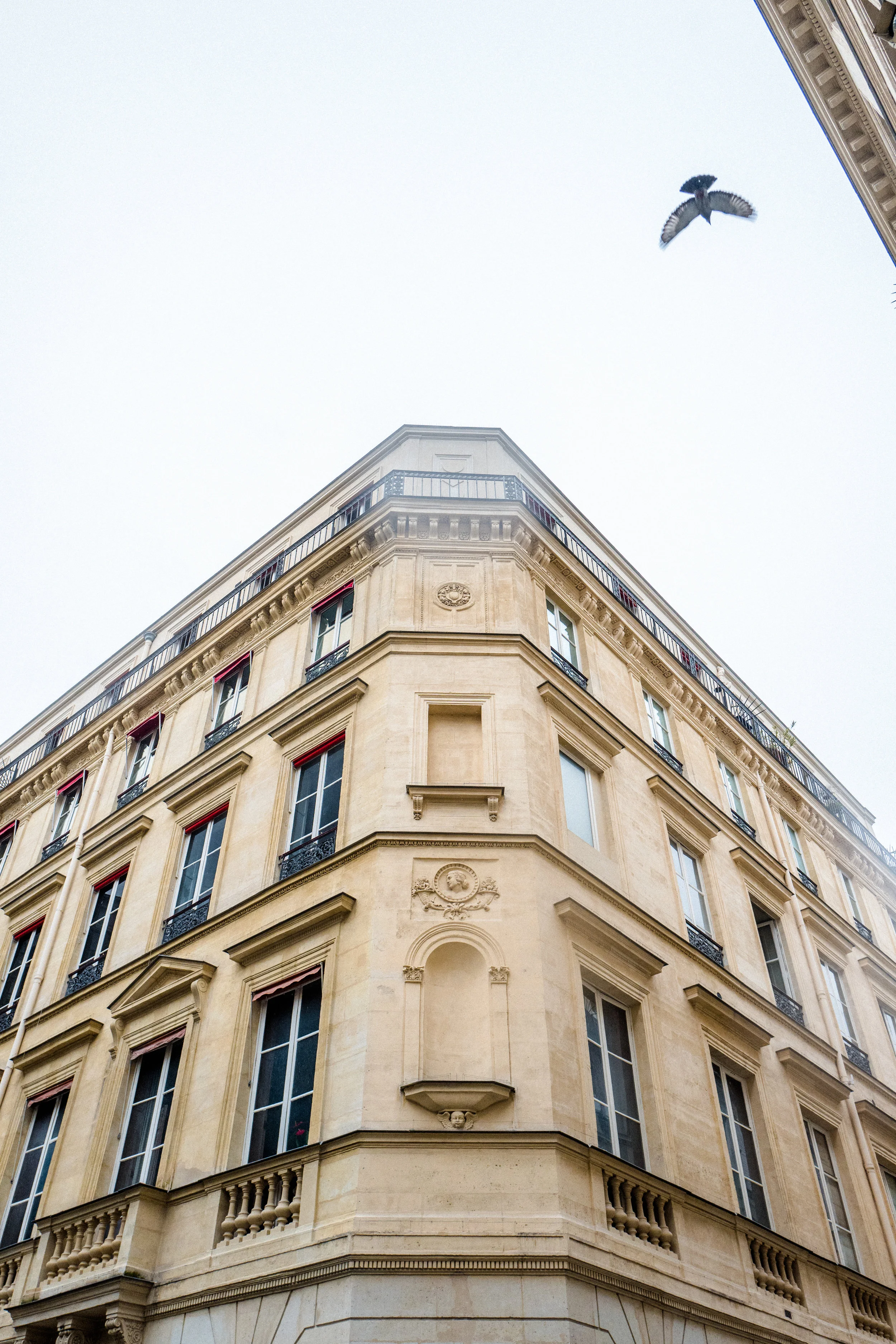 L1110519-2.jpg