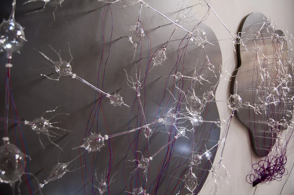 Portrait of the artist(s), beta [neuron cloud] — Kristina Arnold