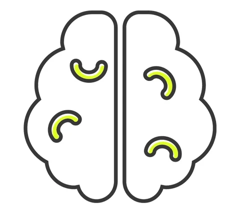 Braincolour.jpg