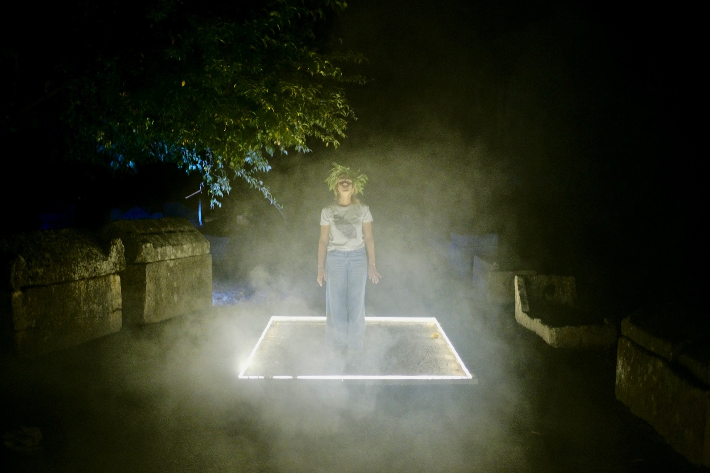 LE MUSEE DES CONTRADICTIONS - 2023 (Copy)