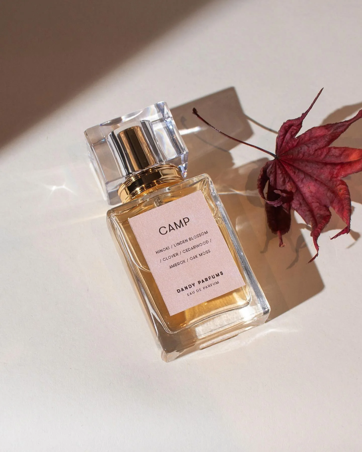 Exclusive for the holidays&ndash;our collection of eau de parfums are available in 30ml bottles for the first time. Limited-edition.

Featured fragrance: CAMP&ndash;a daydream in the radiance of Japanese cypress, honeysuckle, and green leaves.