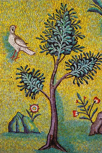 Detail from a garden