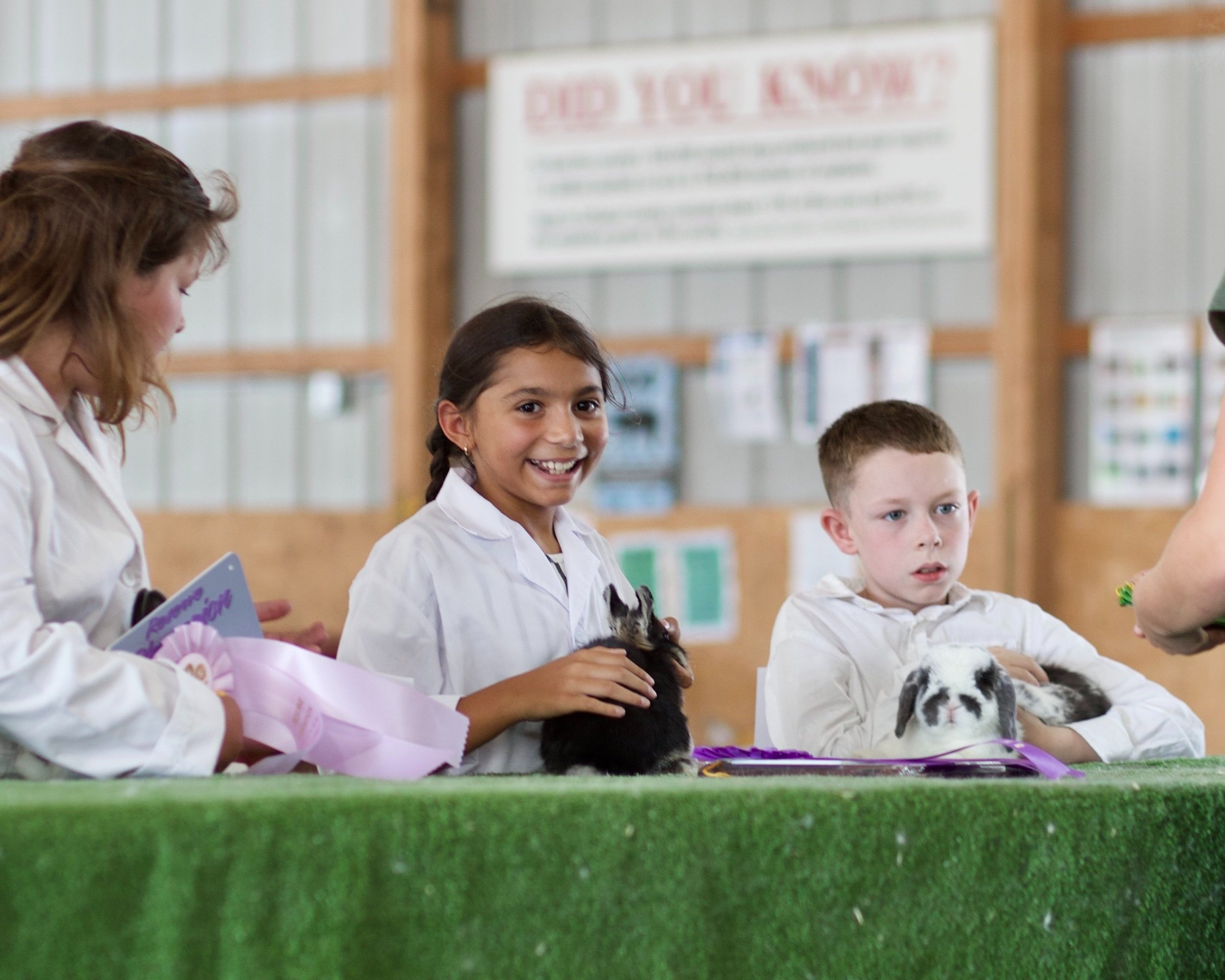 Le Sueur County Fair