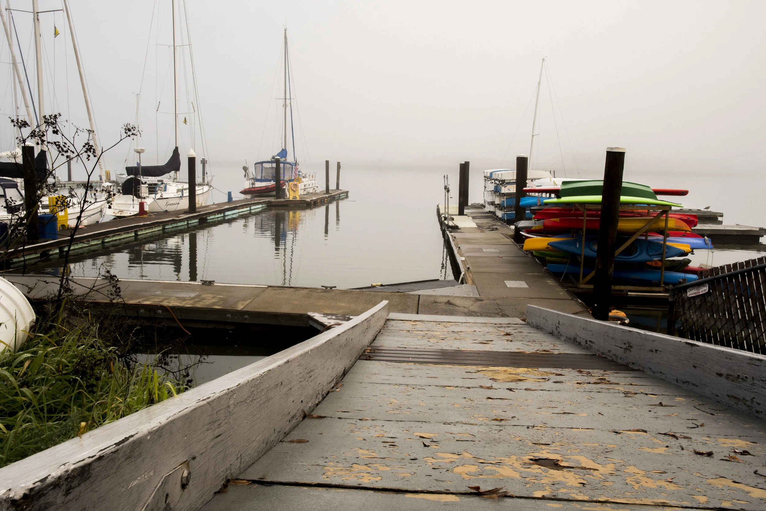 EYCBoatDockFog.JPG