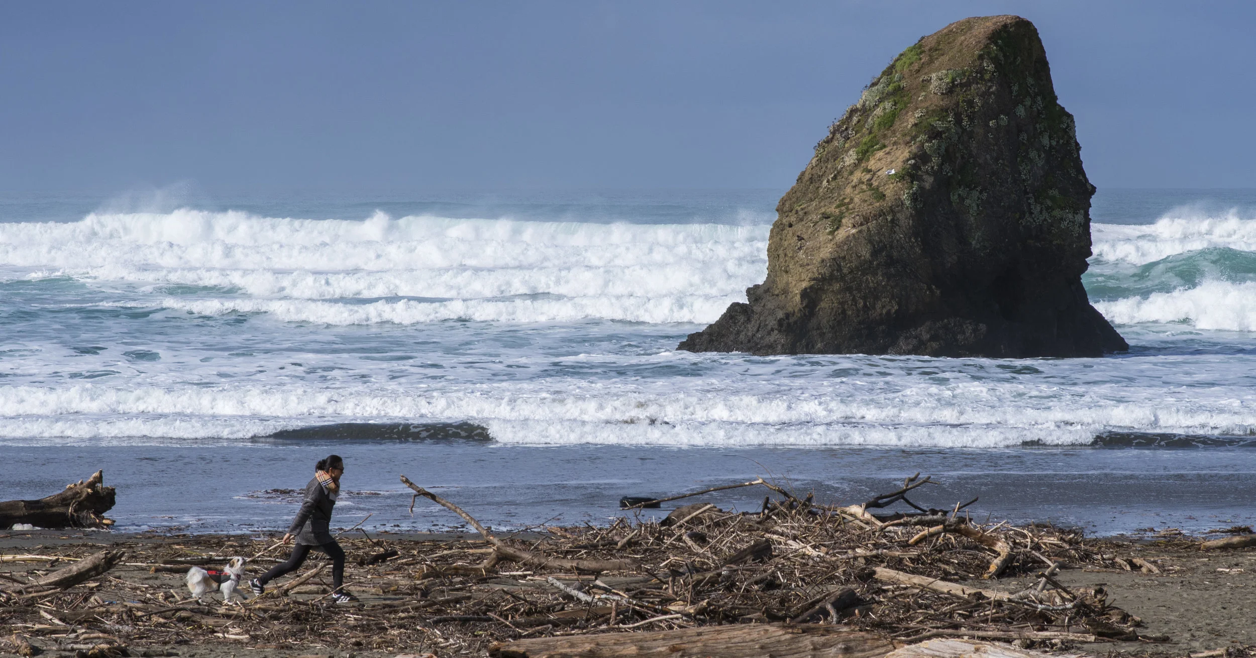 MendocinoSynthiaFly2_1.JPG