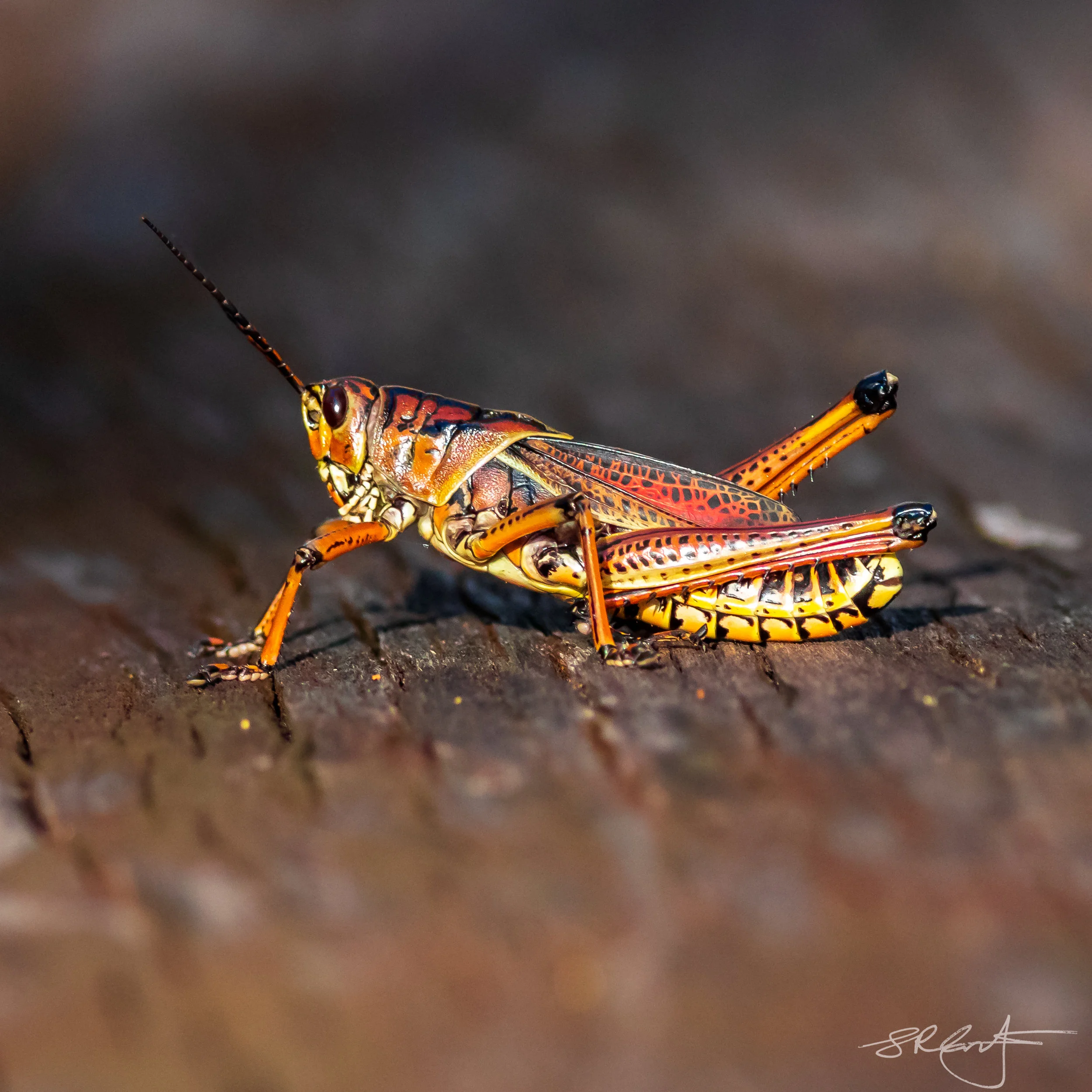 2018 08 14 CREW-15507.jpg