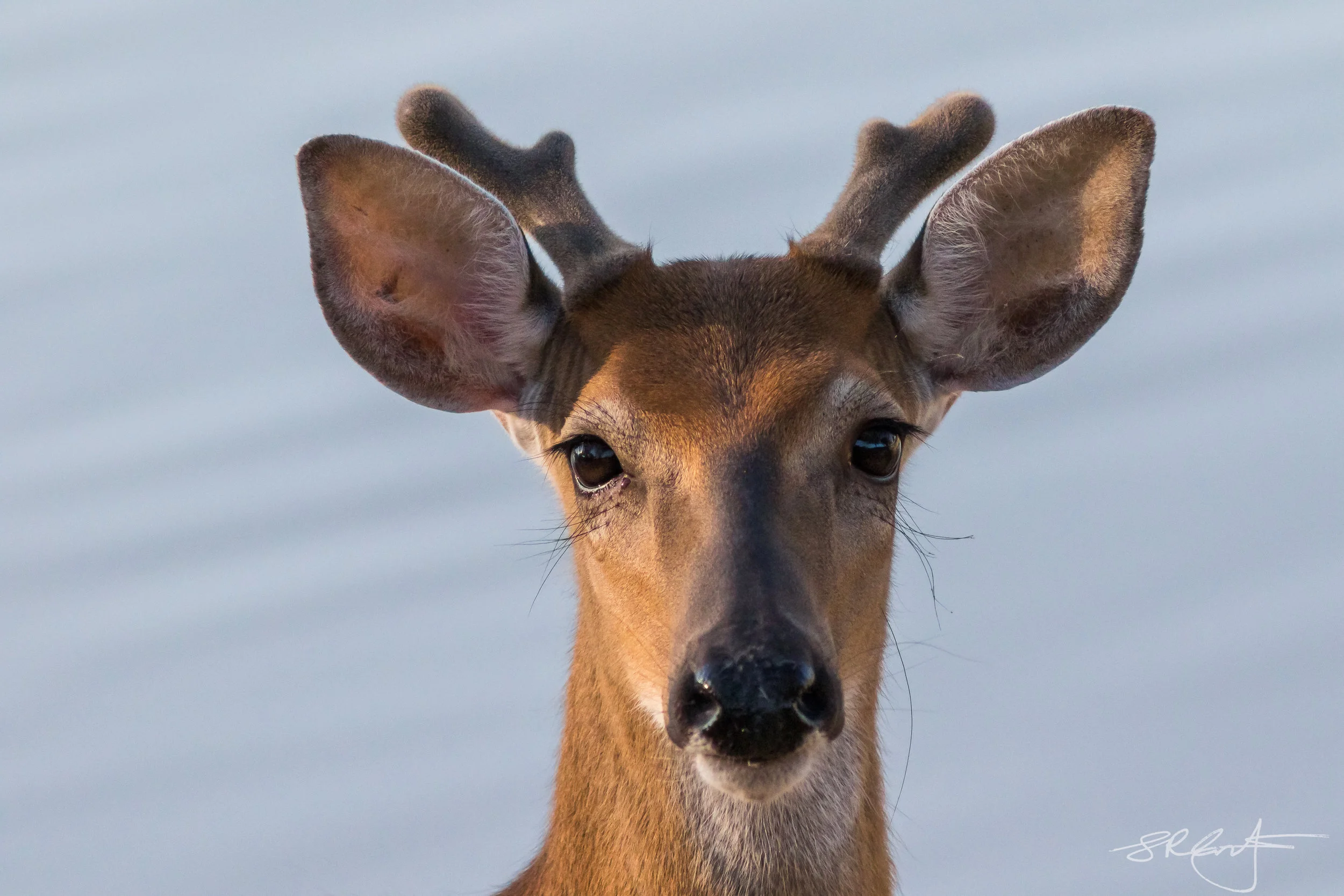 2018 03 15 Golf Course-10484.jpg