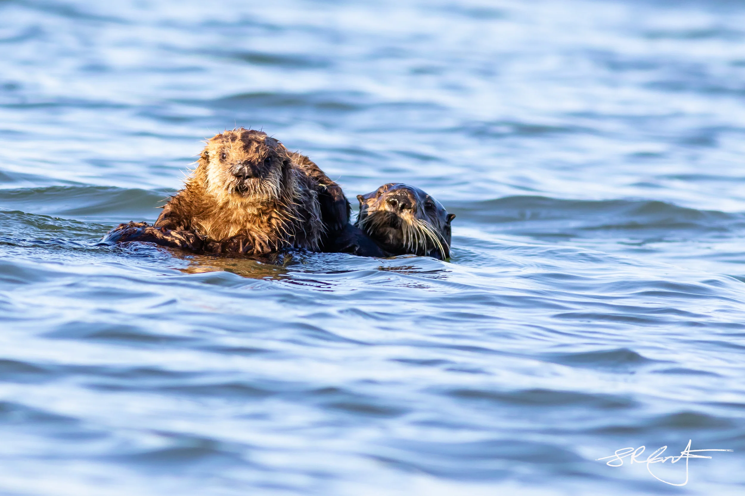 2018 11 05 Whisper Boat-18646.jpg